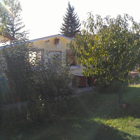 Greenhouse Just 15 Min From The Old Town Bratislava Exterior photo