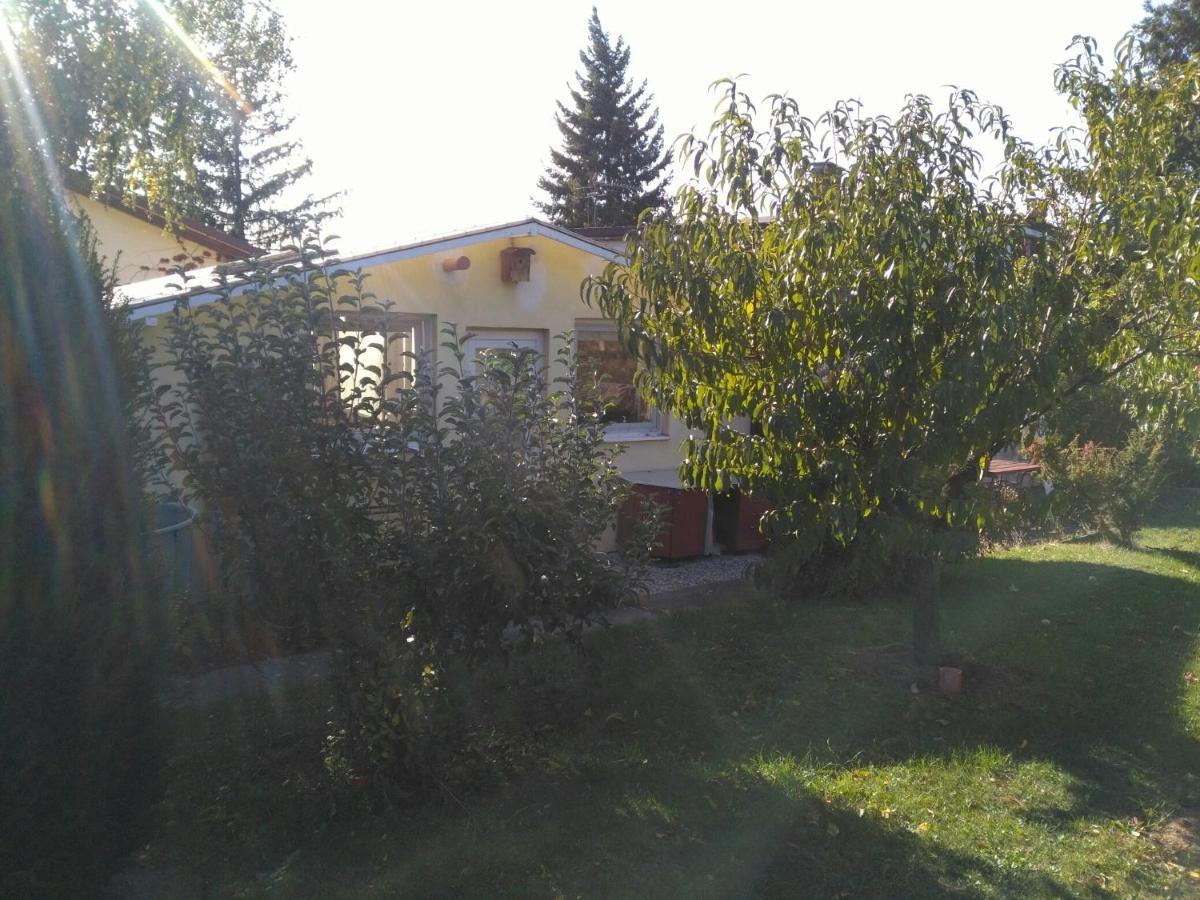 Greenhouse Just 15 Min From The Old Town Bratislava Exterior photo
